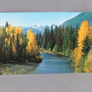 Vintage Postcard - Changing Colours Manning Park - Natural Color Productions